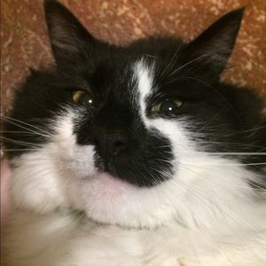 Meet your Posher, Emma